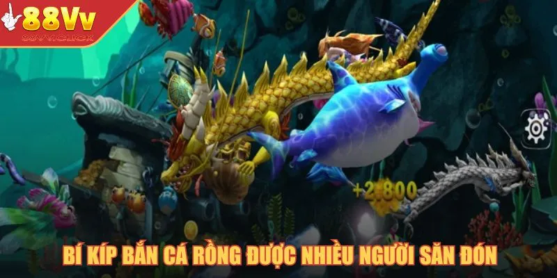Bí kíp bắn cá rồng được nhiều người săn đón