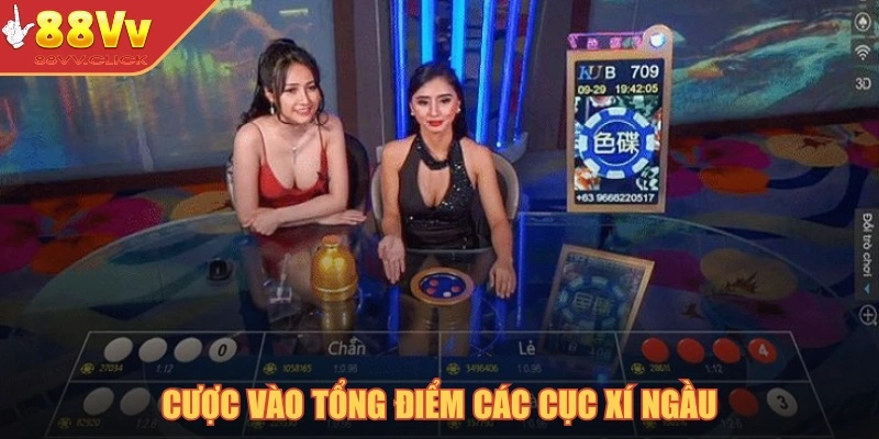 Cược vào tổng điểm các cục xí ngầu